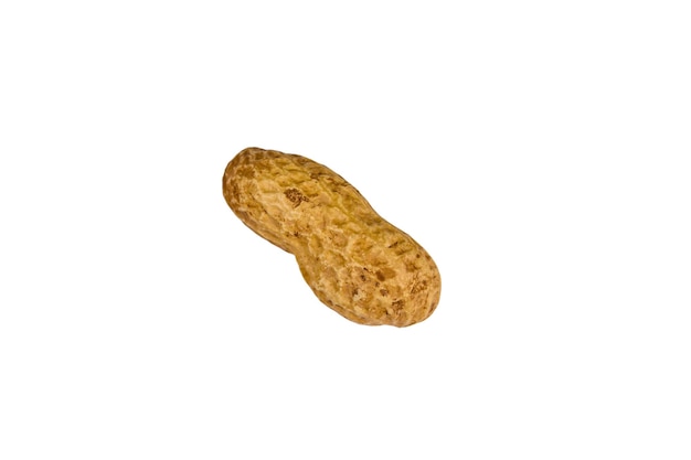 One unpeeled peanut isolated on the white background