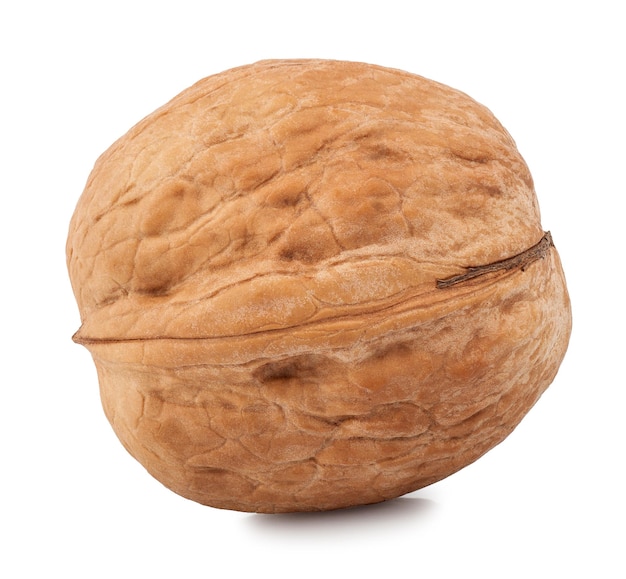 one walnut isolate on a white background