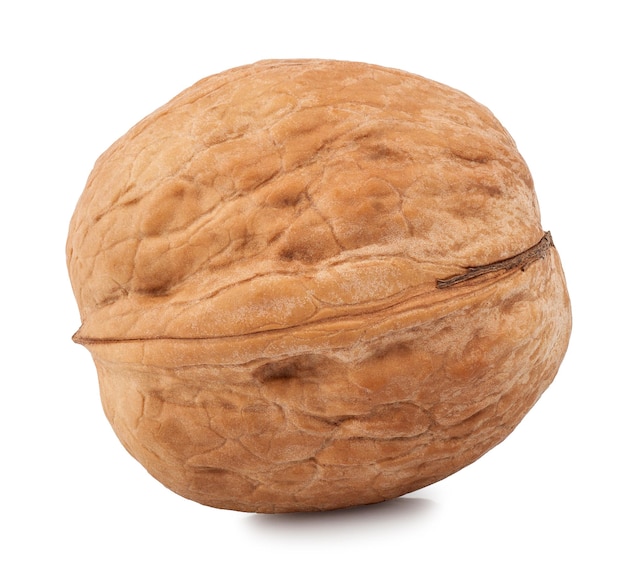 One walnut isolate on a white background