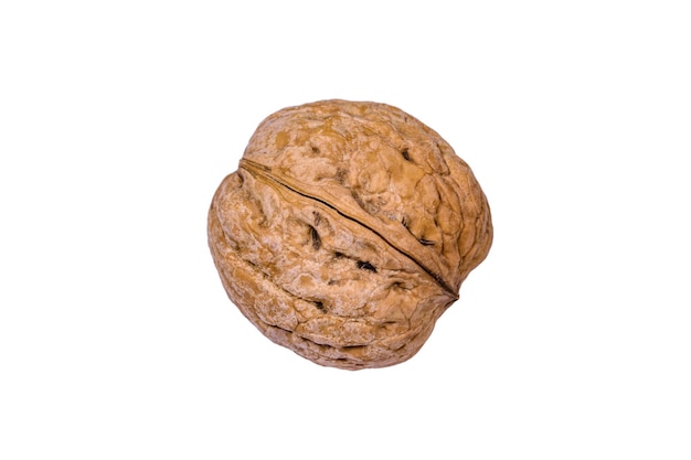 One walnut isolated on the white background