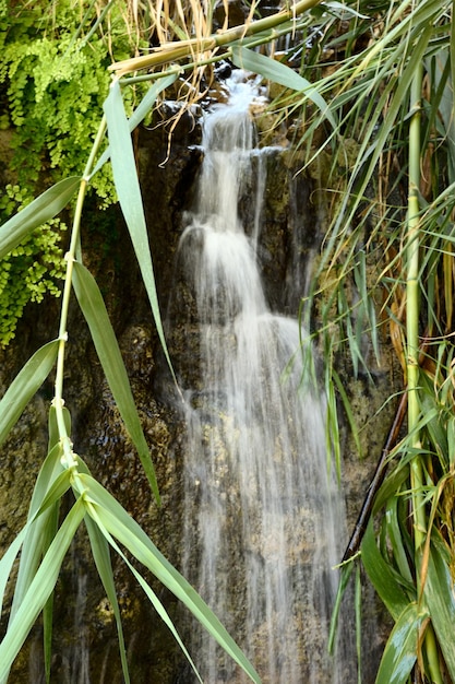 One of the waterfalls in Ein Gedi Nature Reserve