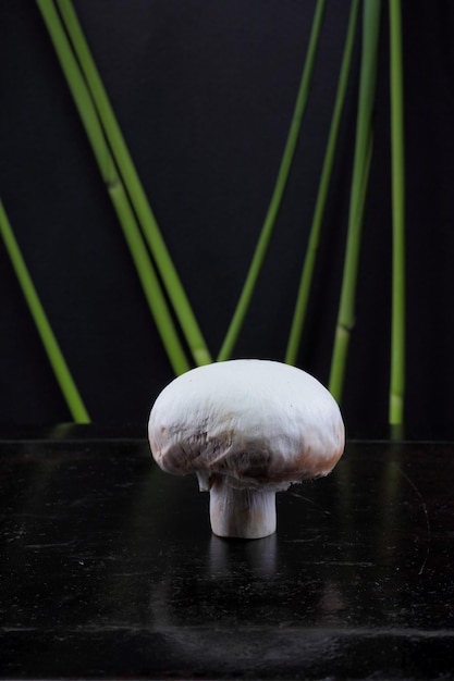 One white champignon and green sprigs on a black background Healthy food concept Closeup