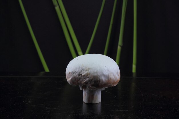 One white champignon and green sprigs on a black background Healthy food concept Closeup