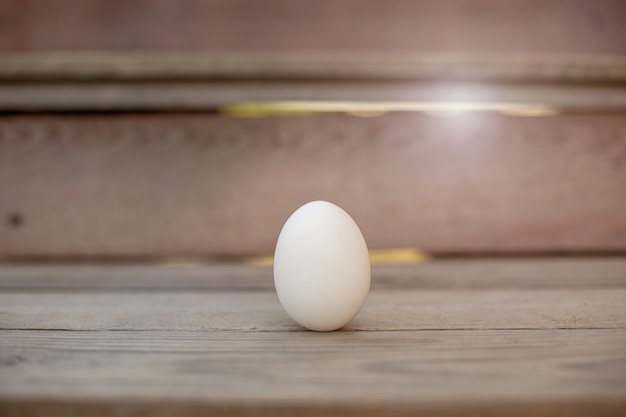 One white egg lies on wood
