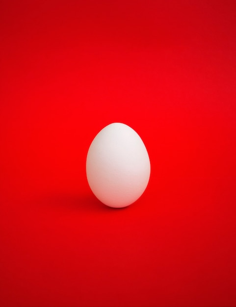 One white egg