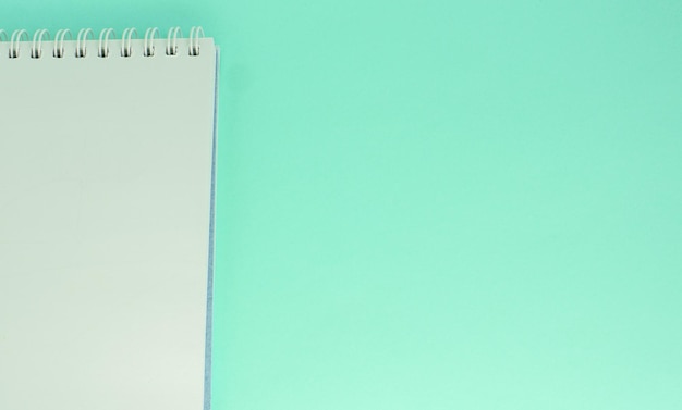 One white sheet of paper torn from a notebook on a light green background with a copy of the space