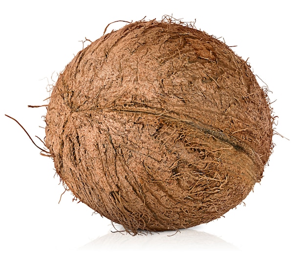 One whole coconut on white isolated background