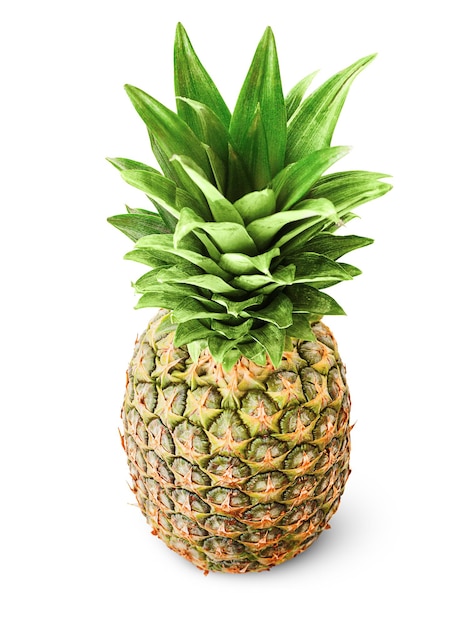 One whole pineapple on a white isolated background