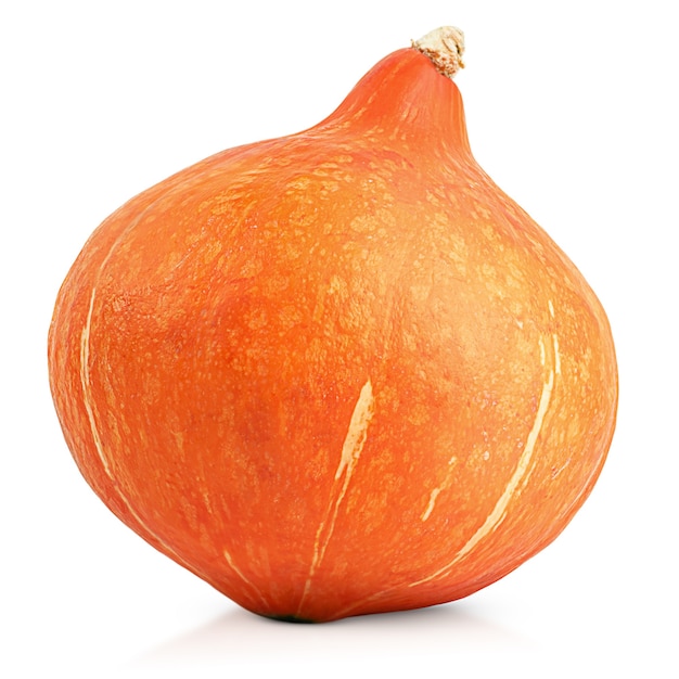 One whole pumpkin on white isolated background