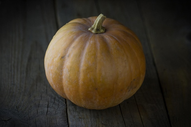 One whole ripe pumpkin on a wooden floor