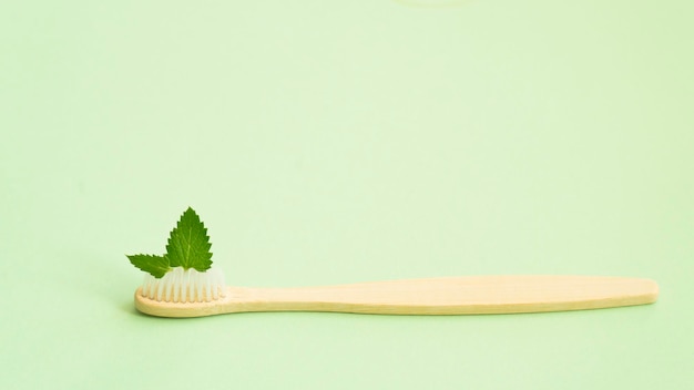 One wooden toothbrush with mint leaves