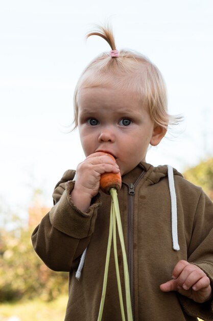 One year old girl eating fresh carrots in the garden