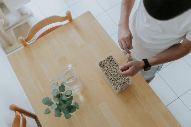 One young Caucasian unrecognizable man tears with his hands a transparent bag of wheat seeds to plant it in a container with soil standing in the kitchen at a wooden table closeup view from above