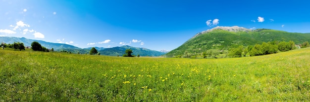 Ongebruikelijk meer Plav tussen de pittoreske bergtoppen van Montenegro.