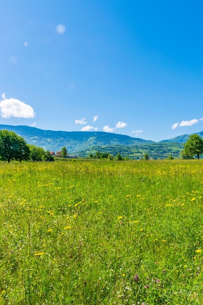 Ongebruikelijk meer Plav tussen de pittoreske bergtoppen van Montenegro.