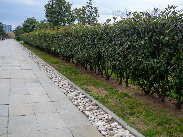 Ongebruikelijk ontwerp van paden in het park geplaveide stenen als decoratie stenen op de steeg in het park Zuidelijke badplaats