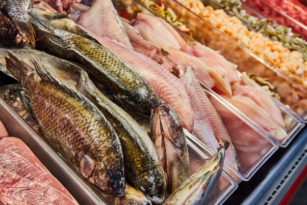 Ongekookte vis in de vleeswinkel van de supermarkt. Vol tilapia.