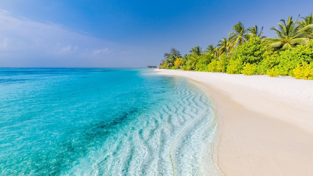 Ongerept strand, ontspannende tropische eilandkust. Palmbomen exotische zeebaai zandgolven, vredig uitzicht