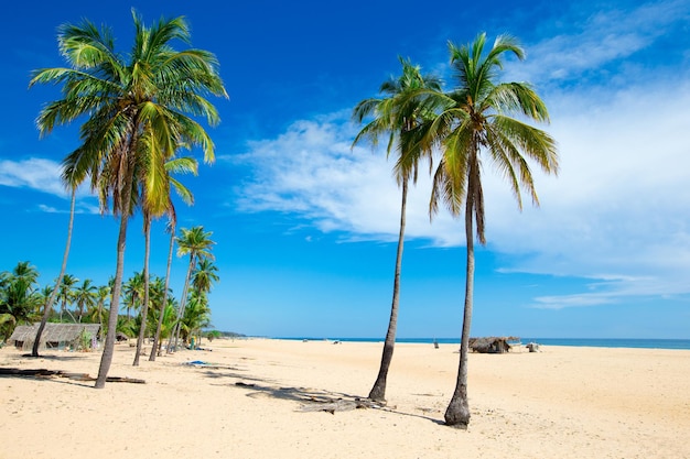 Ongerept tropisch strand in sri lanka