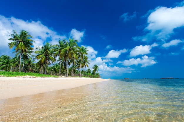 Ongerept tropisch strand in Sri Lanka