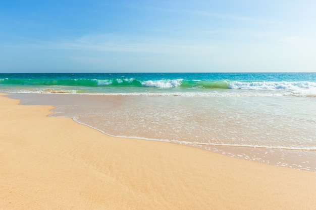 Ongerepte tropisch strand in sri lanka met wit zand en blauw water