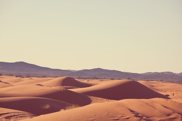 Ongerepte zandduinen in de afgelegen woestijn