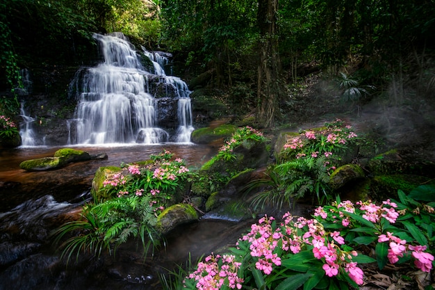 Ongeziene man daeng-waterval in phuhinrongkla-park