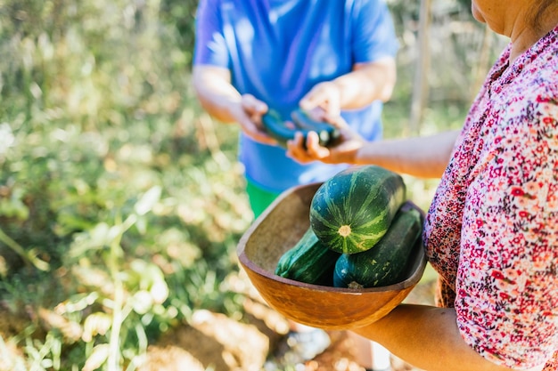 Onherkenbaar Latijns boerenpaar met grote courgettes uit haar moestuin. Ruimte kopiëren