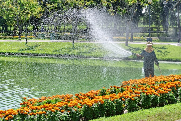 Onherkenbaar tuinman water geven kleurrijke bloeiende planten aan het meer
