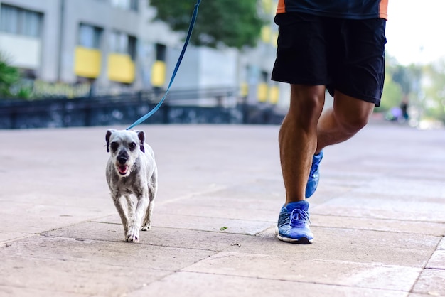 Onherkenbare man jogt met zijn hond