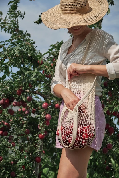 Onherkenbare vrouw die pruimen plukt in een eco-netzak van touw in de achtertuin van haar familie