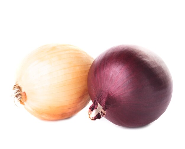 Onion bulbs isolated on the white background