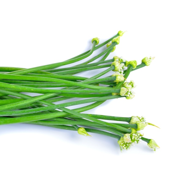 Onion flower on white