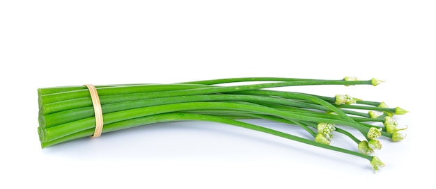 Onion flower on white