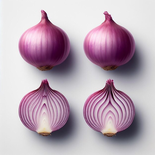 onion food photograpy