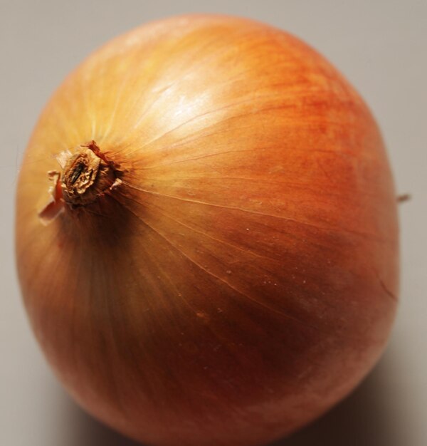 Onion on gray background close up