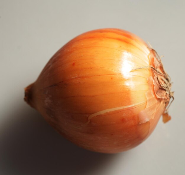 Onion on gray background