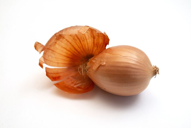 Onion in husk isolated closeup for cooking golden color