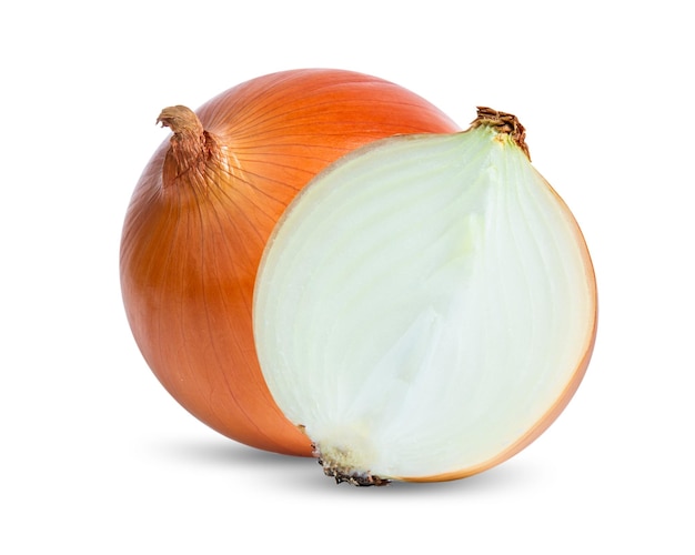 Onion isolated on white background