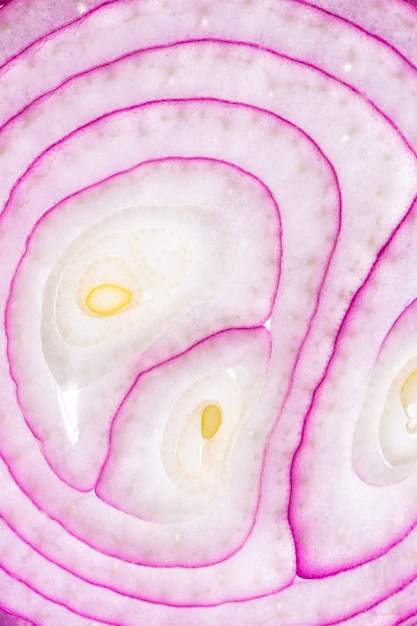 onion macroRed onion closeup as a background texture