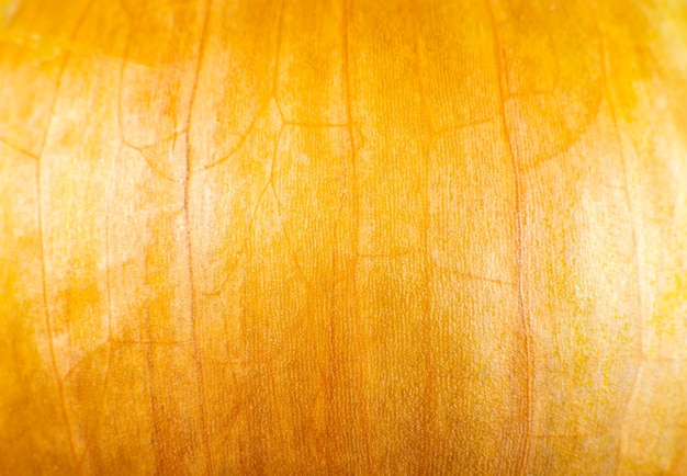 Onion peel texture background. Vegetable close up photo, macro view. Beautiful wallpaper.