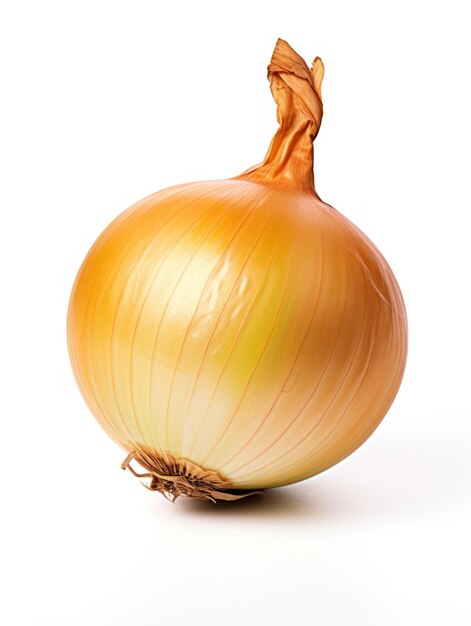 Photo onion studio shot isolated on clear background food photography generative ai
