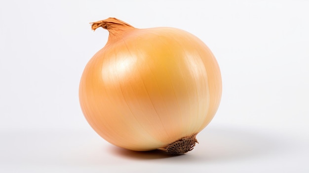 Photo a onion that is yellow and has a brown stem.