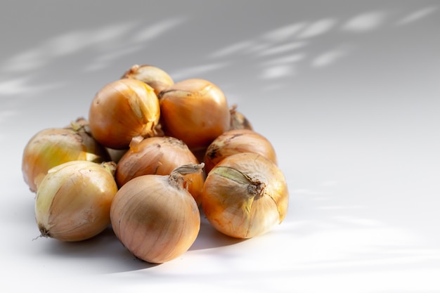 Onion on a white background