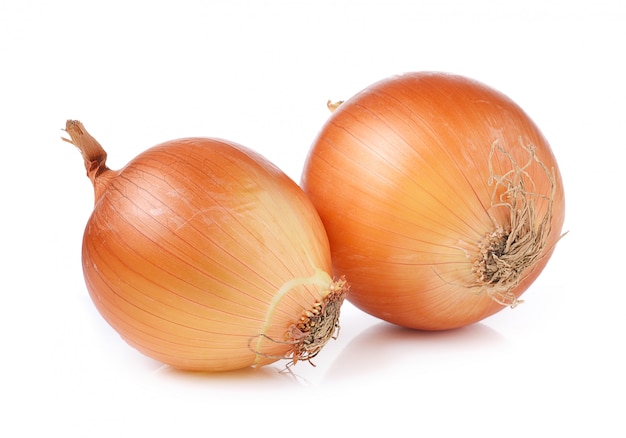 Onion on white space