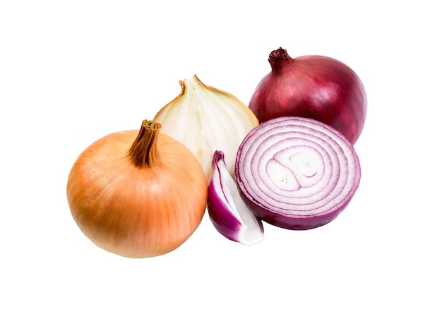 Photo onion on white