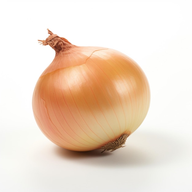 Onion with white background high quality ultra hd