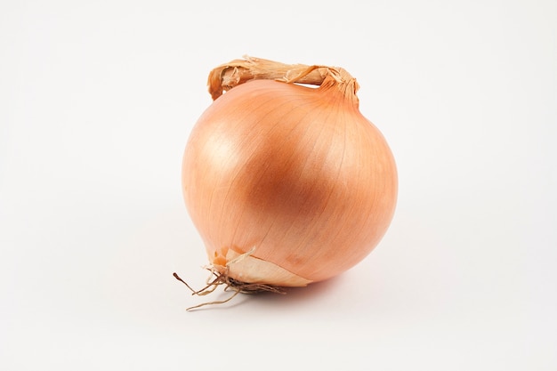 Onion