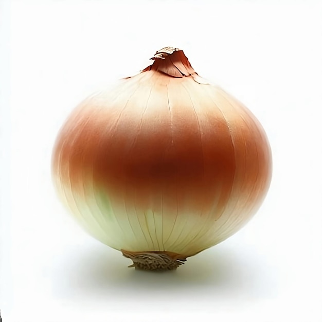 onion