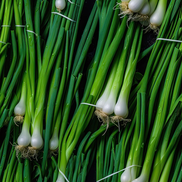 Photo onions as seamless tiles